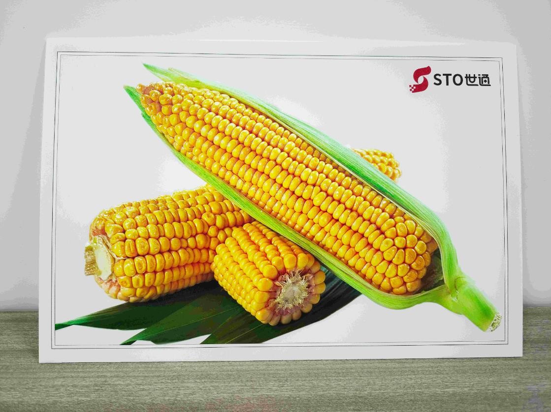 什麽是（shì）UV打印機？UV打印機可以打印什麽（me）？